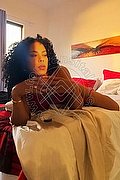  Trans Elara 351 92 89 028 foto 5