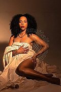  Trans Elara 351 92 89 028 foto 3