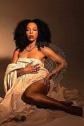  Trans Escort Elara 351 92 89 028 foto 3