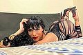 Prato Trans Heron 393 37 83 206 foto 4