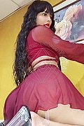 Rimini Trans Escort Ariel Rojas 393 53 08 502 foto 7