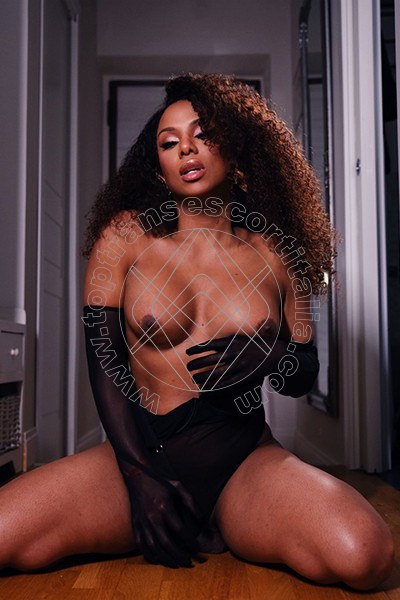Tazia Duran LATINA 3711959033
