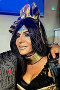 Seriate Trans Nina Tx 334 84 64 340 foto 15