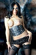 Siena Trans Carolina Sexy 348 65 99 498 foto 73