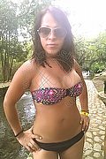 Vicenza Trans Nikol 328 37 34 891 foto 23