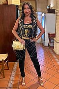 Dalmine Trans Luisa 334 32 13 842 foto 47