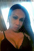 Barueri Trans Mal Diniz  005511982131056 foto selfie 9