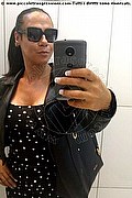 Barueri Trans Mal Diniz  005511982131056 foto selfie 3