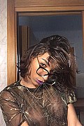 Firenze Trans Escort Kiara Bardo 328 77 52 641 foto selfie 41