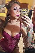 Rimini Trans Alessandra Toledo Pornostar 339 67 43 933 foto selfie 85