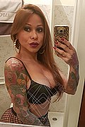 Rimini Trans Escort Alessandra Toledo Pornostar 339 67 43 933 foto selfie 86