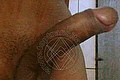 Caltanissetta Trans Desia 388 80 87 953 foto selfie 7