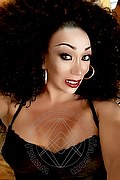 L'aquila Trans Escort Amanda 371 39 38 352 foto selfie 4