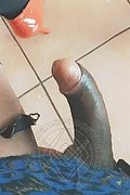  Trans Escort Amanda Lya 327 38 16 212 foto selfie 22