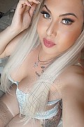 Napoli Trans Dafne Pornostar 380 14 22 205 foto selfie 47
