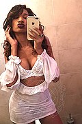 Firenze Trans Kiara Bardo 328 77 52 641 foto selfie 53