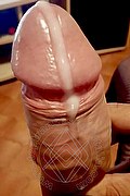 Torre Del Lago Puccini Trans Escort Pamela Sexy 389 11 65 704 foto selfie 64