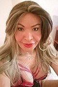 Prato Trans Tain� Oliveira 328 53 82 487 foto selfie 127