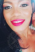 Bologna Trans Naomy Xl 329 01 67 932 foto selfie 2