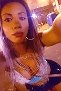 Rio De Janeiro Trans Grazi Potssio  005521980475619 foto selfie 3