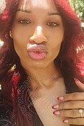 Firenze Trans Kiara Bardo 328 77 52 641 foto selfie 39