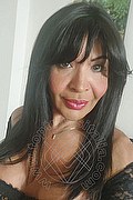 Prato Trans Tain� Oliveira 328 53 82 487 foto selfie 116