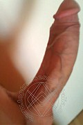 Castel Bolognese Trans Escort Claudia 331 74 75 805 foto selfie 42