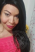 Prato Trans Tain� Oliveira 328 53 82 487 foto selfie 114