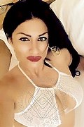 Colonia Escort Lady Aylindd  00491623988498 foto selfie 3