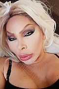 Bari Trans Monique 320 18 30 286 foto selfie 57