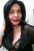 Prato Trans Tain� Oliveira 328 53 82 487 foto selfie 166