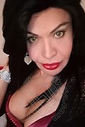 Prato Trans Tain� Oliveira 328 53 82 487 foto selfie 149