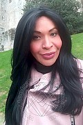 Prato Trans Escort Tain� Oliveira 328 53 82 487 foto selfie 138