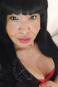 Prato Trans Tain� Oliveira 328 53 82 487 foto selfie 103