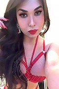 Firenze Trans Escort Kettley Lovato 376 13 62 288 foto selfie 47