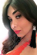 Firenze Trans Escort Kettley Lovato 376 13 62 288 foto selfie 41