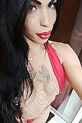 Treviso Trans Escort Rayla Rios 329 38 77 403 foto selfie 37