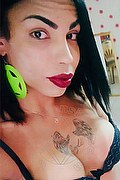 Treviso Trans Rayla Rios 329 38 77 403 foto selfie 18