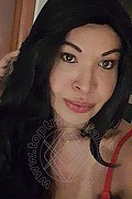 Prato Trans Tain� Oliveira 328 53 82 487 foto selfie 97