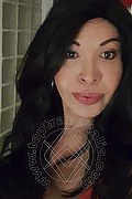Prato Trans Tain� Oliveira 328 53 82 487 foto selfie 89