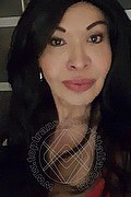 Prato Trans Escort Tain� Oliveira 328 53 82 487 foto selfie 87