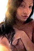 Lugano Trans Escort Ayda Gold 350 86 85 701 foto selfie 82