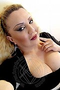 Mantova Trans Escort Evelin 351 06 21 157 foto selfie 3