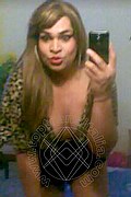 Spresiano Trans Brunna Huns 366 11 01 715 foto selfie 36