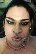 Spresiano Trans Brunna Huns 366 11 01 715 foto selfie 51