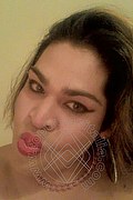 Spresiano Trans Brunna Huns 366 11 01 715 foto selfie 50