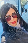 Prato Trans Lucrezia Hikman 351 29 44 990 foto selfie 53