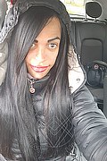 Prato Trans Lucrezia Hikman 351 29 44 990 foto selfie 69