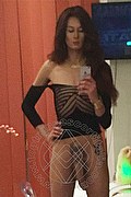 Genova Trans Escort Miranda Pinocchio Pornostar 329 44 49 590 foto selfie 10