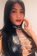Milano Trans Mikaella Pimentell Pornostar 329 34 10 689 foto selfie 113
